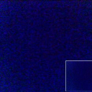 Meet your Posher, Twokay